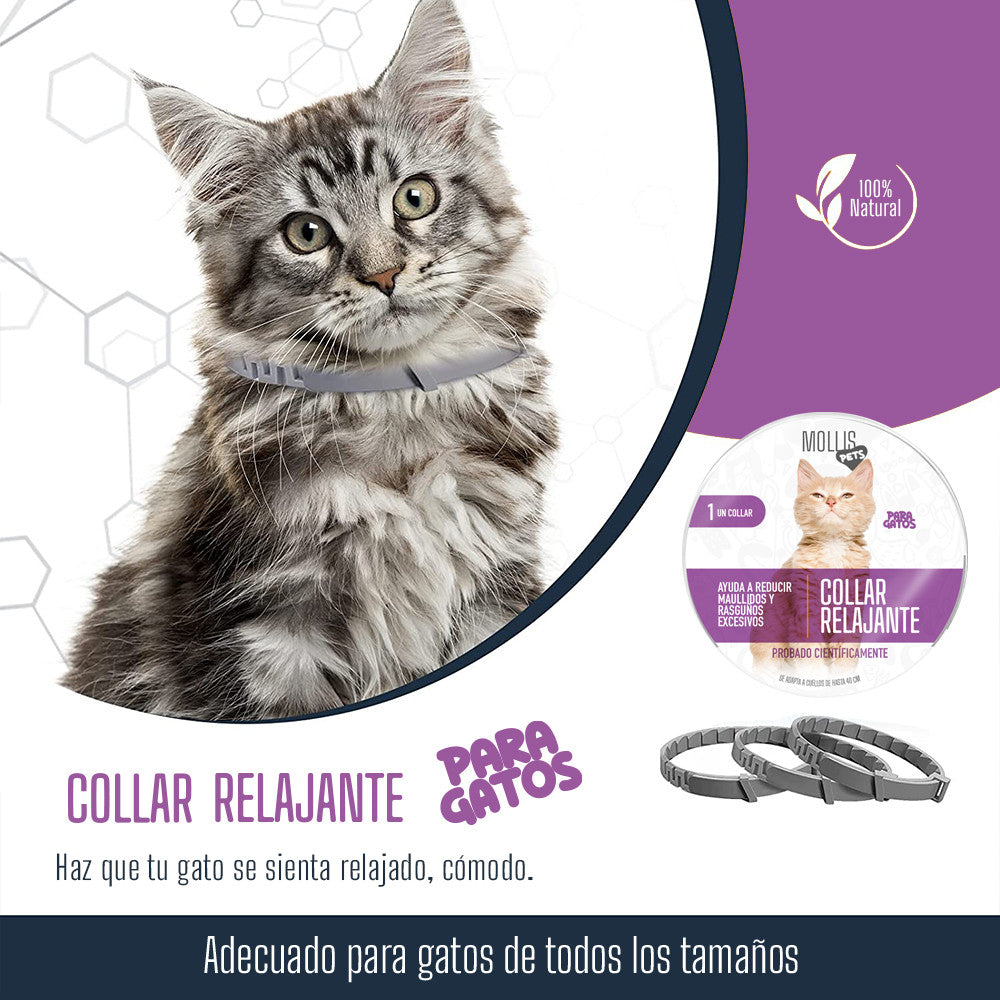 Collar Calmante para Gatos