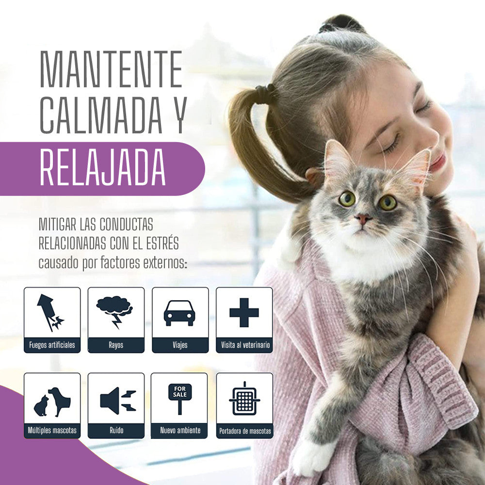 Collar Calmante para Gatos