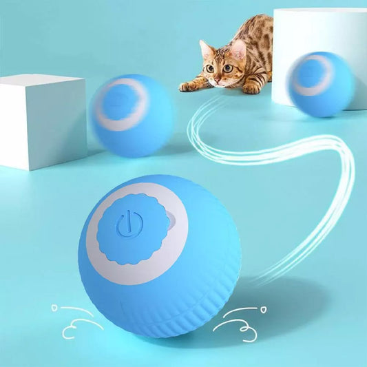 Pet Ball