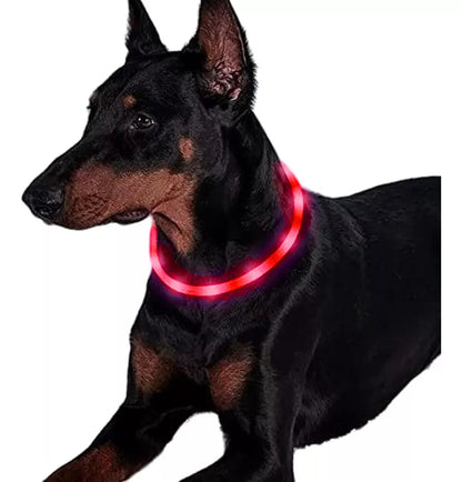 Collar LED para Mascotas