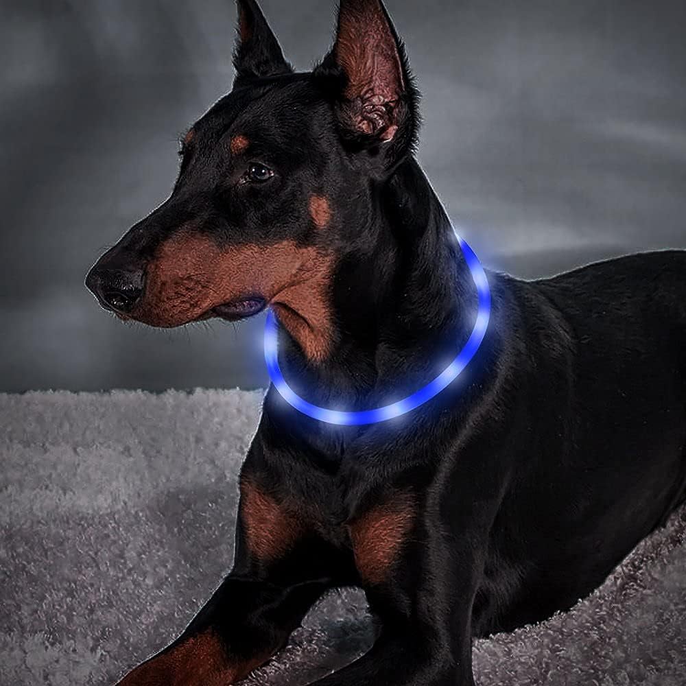 Collar LED para Mascotas