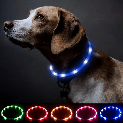 Collar LED para Mascotas