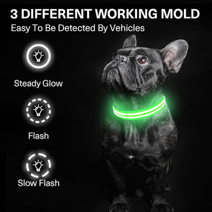 Collar LED Recargable para Perros