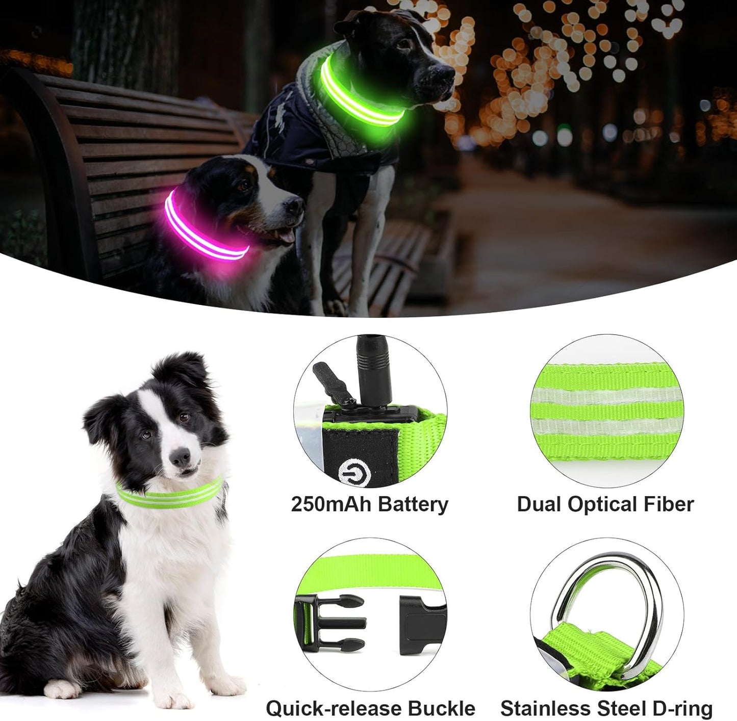 Collar LED Recargable para Perros