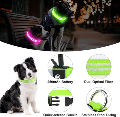 Collar LED Recargable para Perros