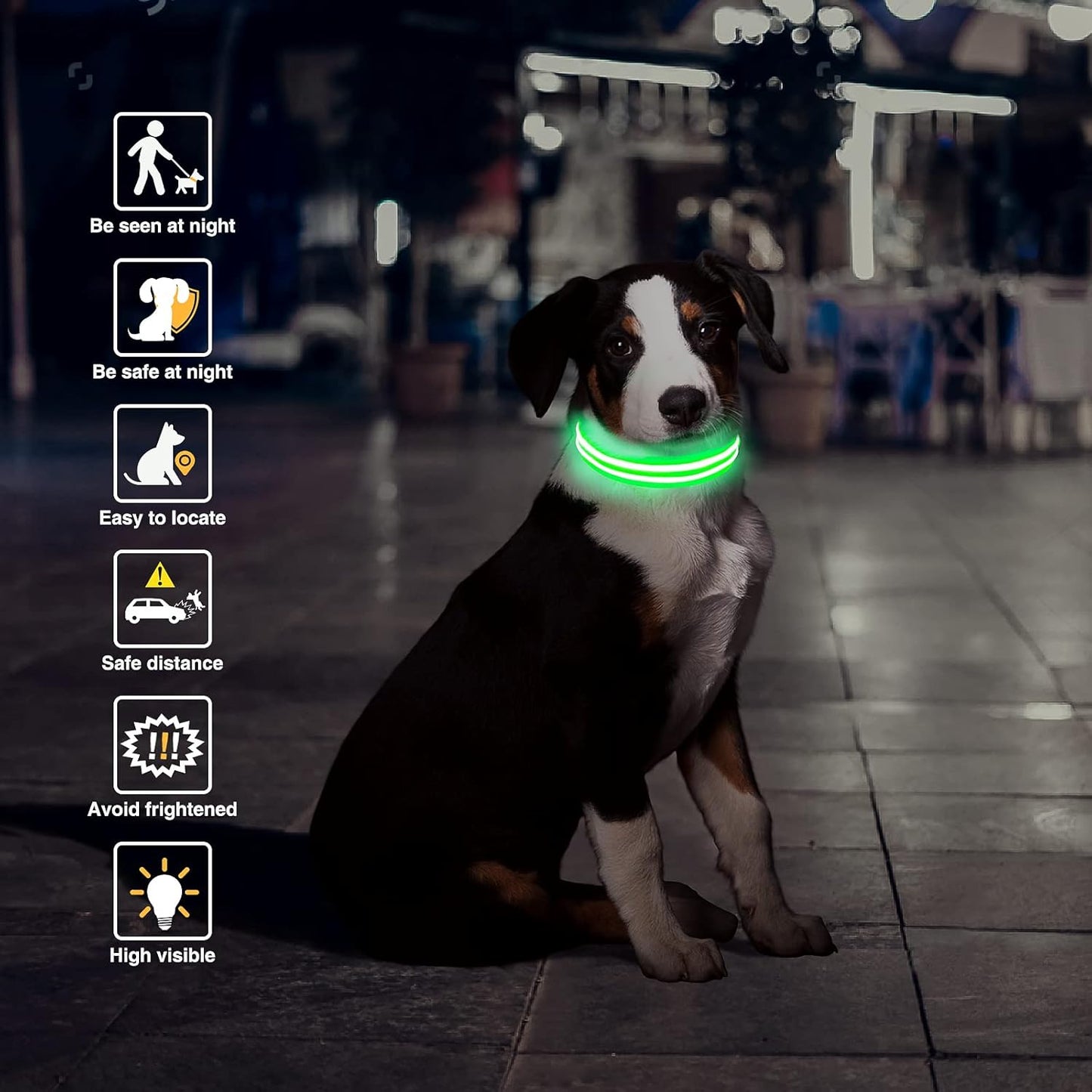 Collar LED Recargable para Perros