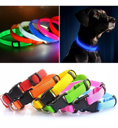 Collar Reflectivo con luz LED